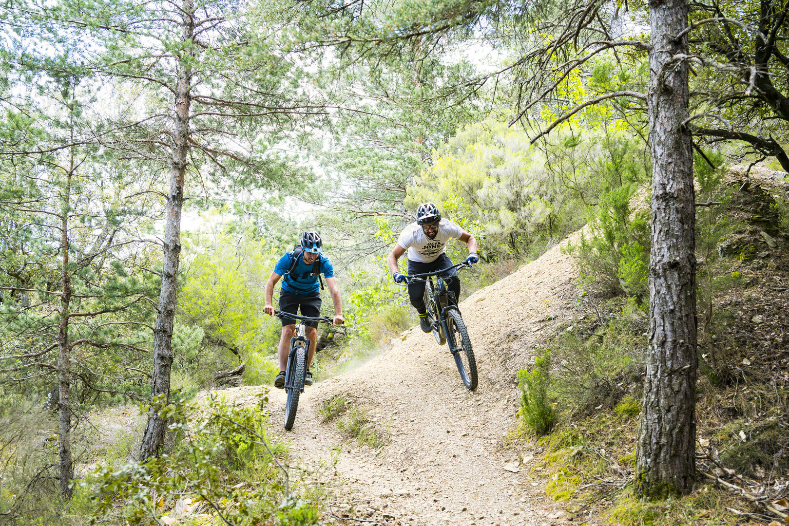 VTT