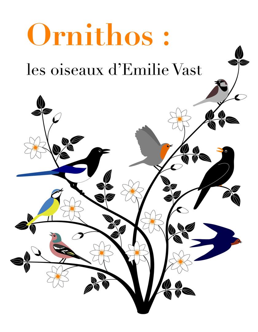 Visuel expo ORNITHOS
