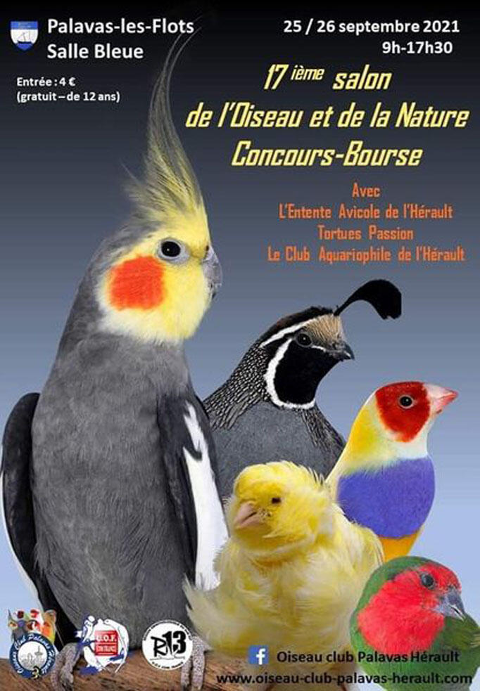 affiche expo sept 2021 web