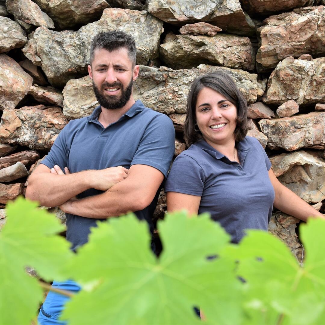 domaine marion pla