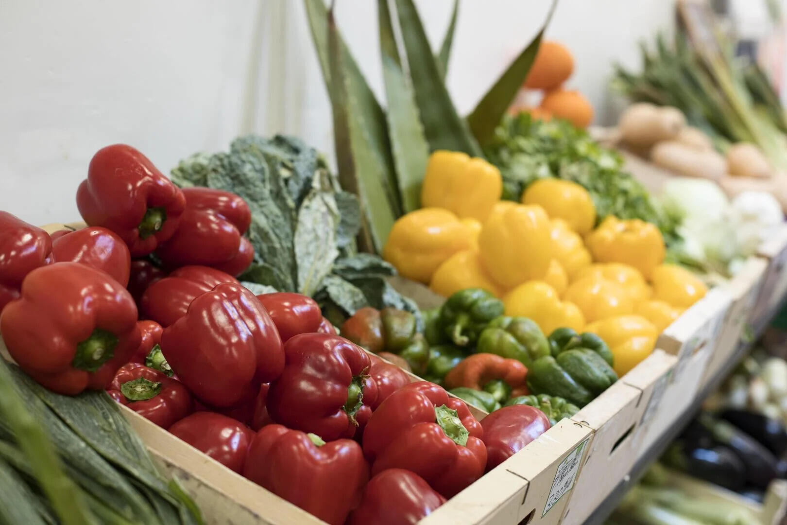 image alimentation