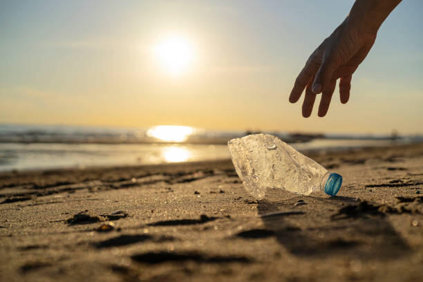 istockphoto-1394885991-612x612