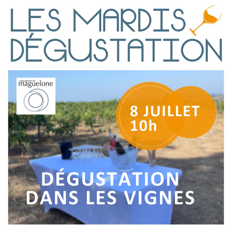 mardi-degustation-0807-10h