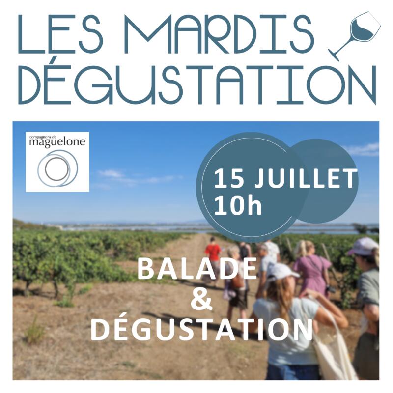 mardi-degustation-1507-10h