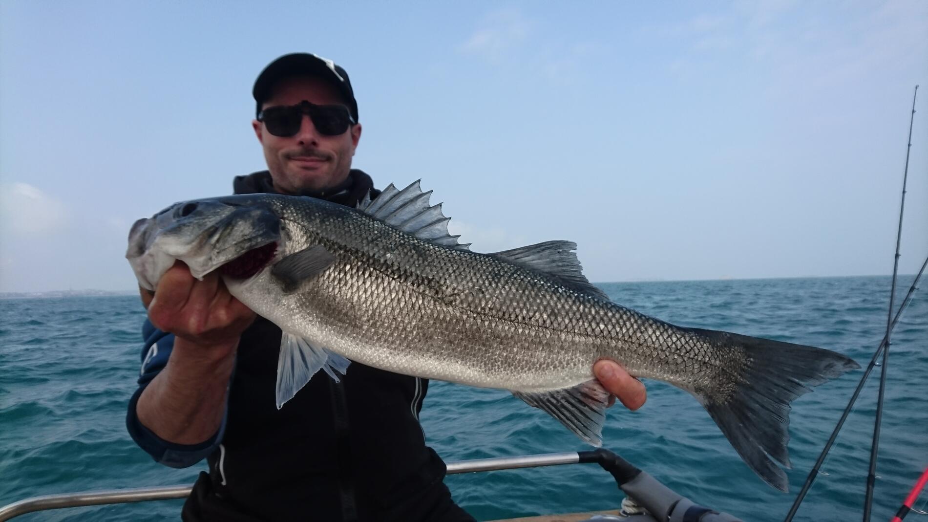 Fish Tracker ST MALO
