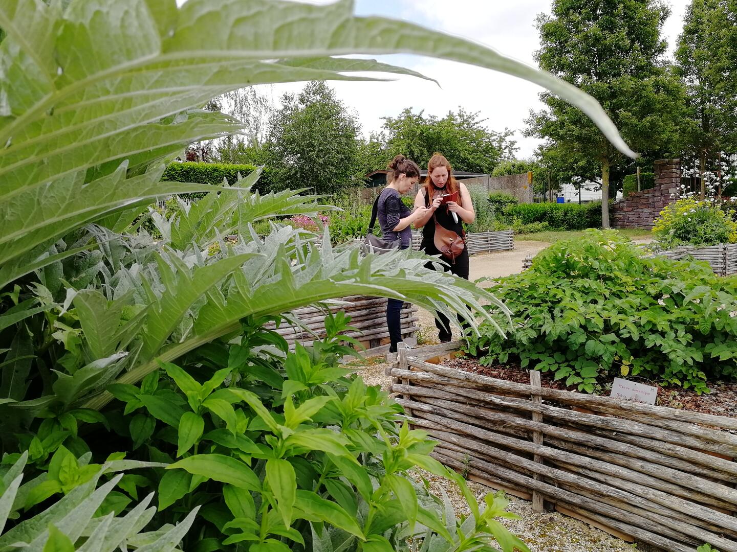 Jardin médiéval Bédée Village Etape