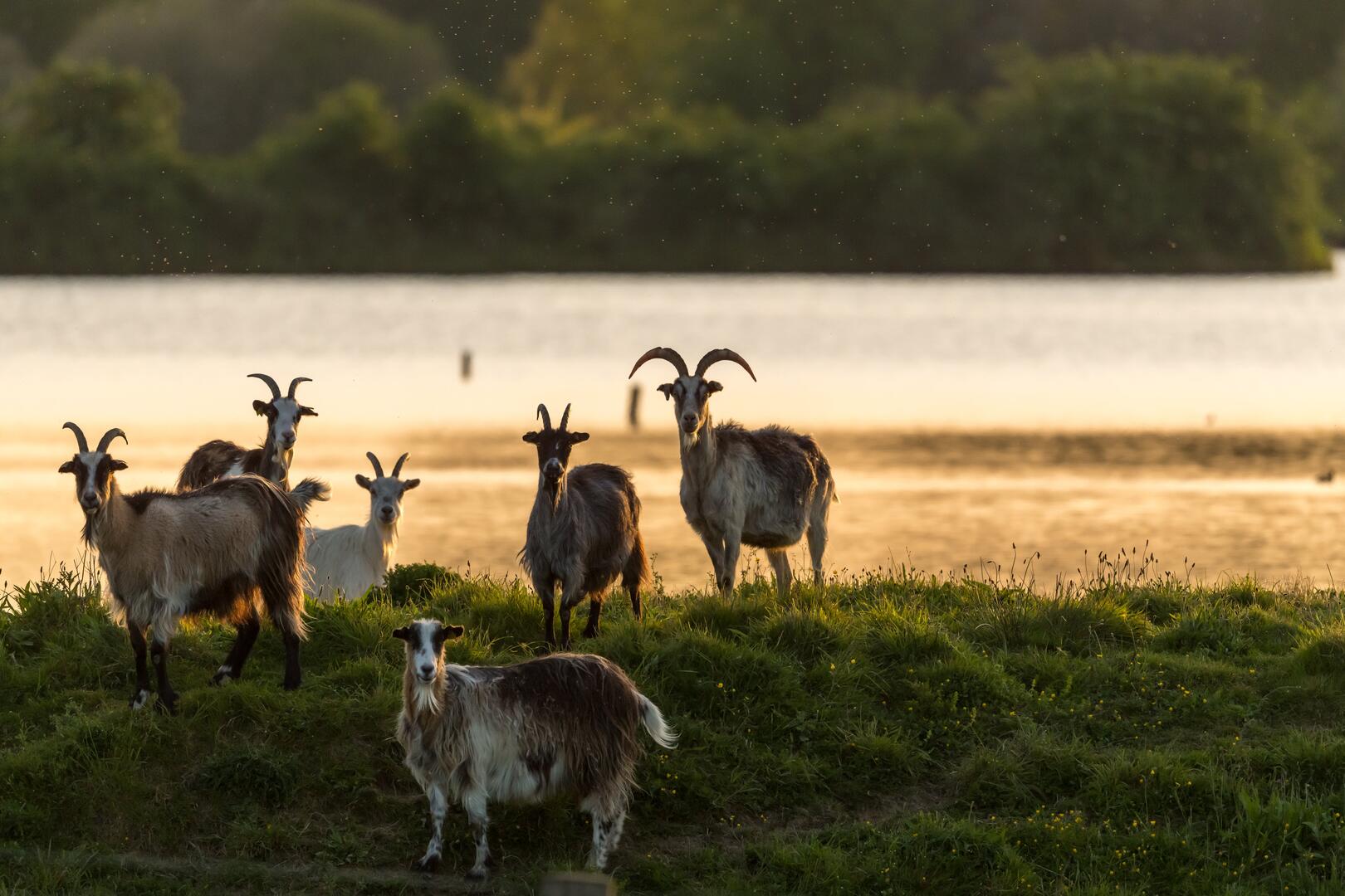 Domaine de Careil Espace Naturel Sensible du Département