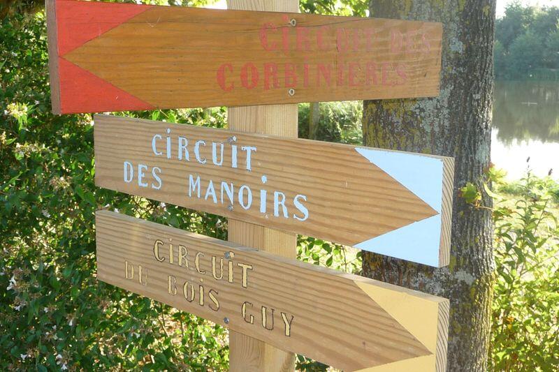 Circuit du Bois Guy n°30