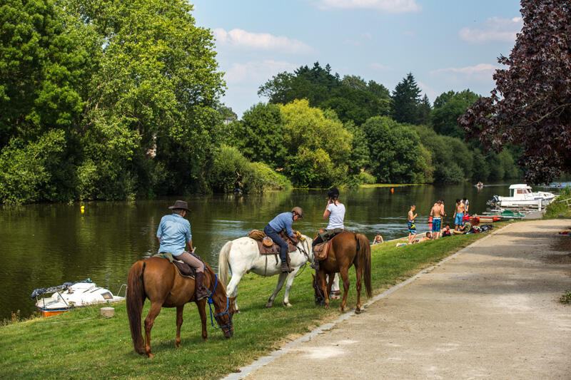 Centre équestre et poney club des 3 chênes à Guichen