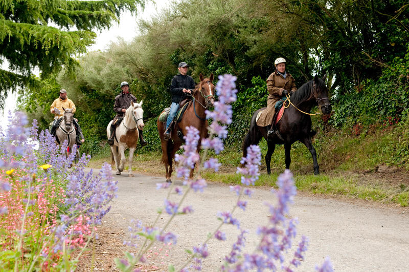 Centre équestre et poney club de Hac à Saint-Gondran