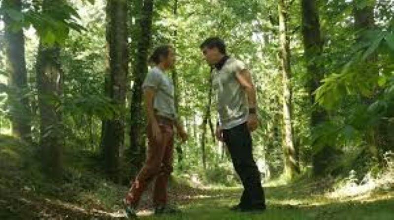 Animalentendu_Jardins de Brocéliande