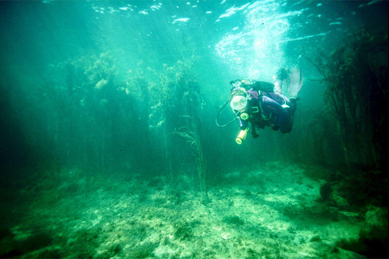 Atlantis Bretagne Plongée