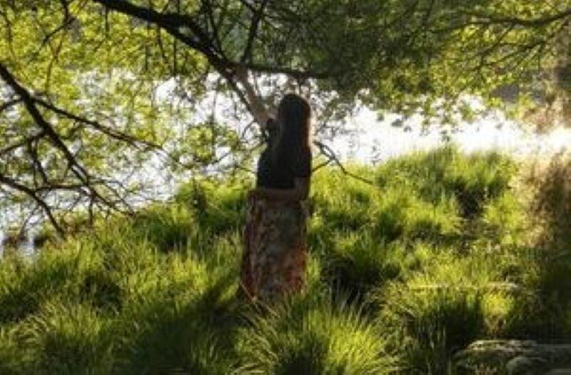 Auriella_mabire_herbo_Broceliande