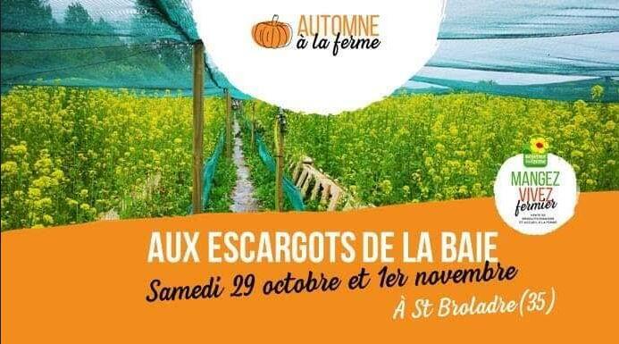Aux escargots de la baie 1ernov2022