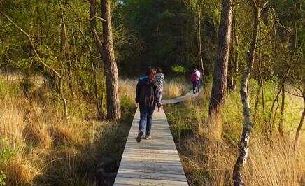 Balade-nature-en-Broceliande-Paimpont-2