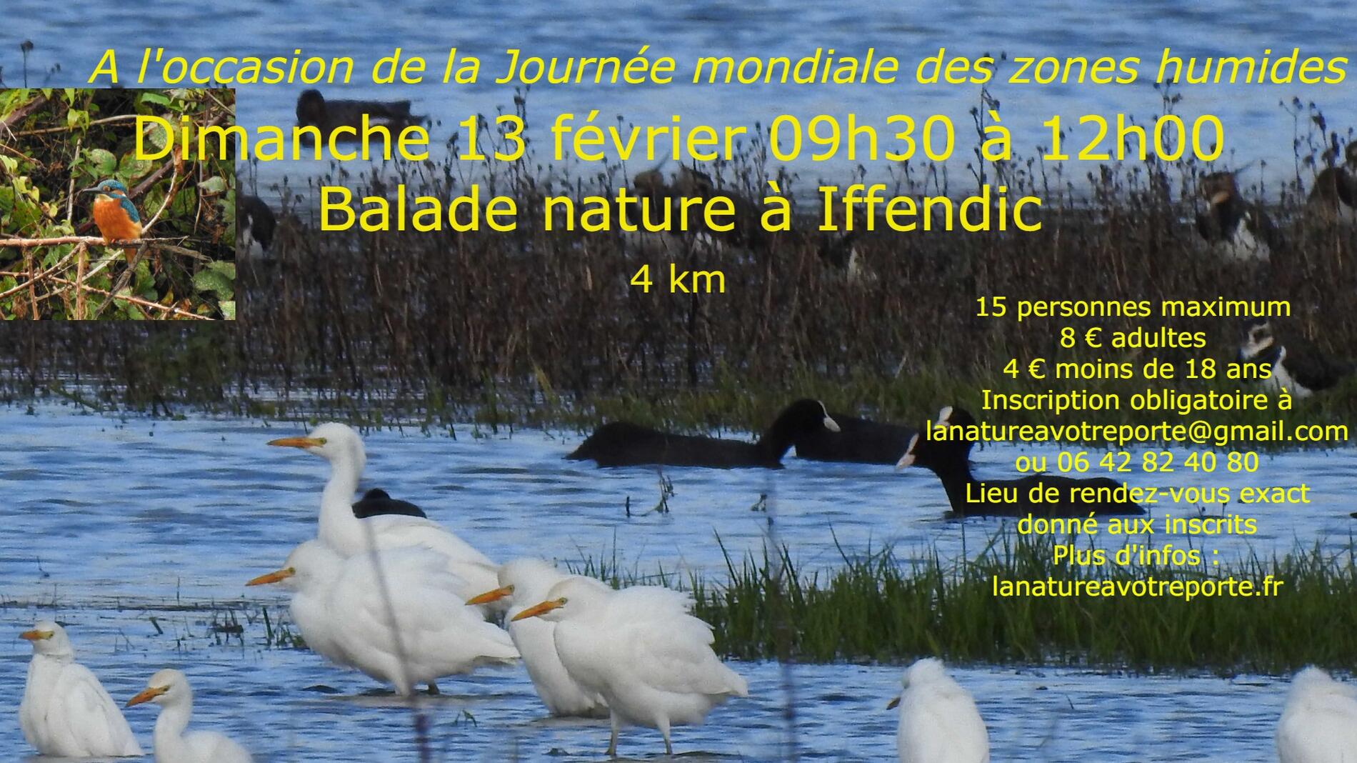 Balade nature la nature à votre porte Iffendic