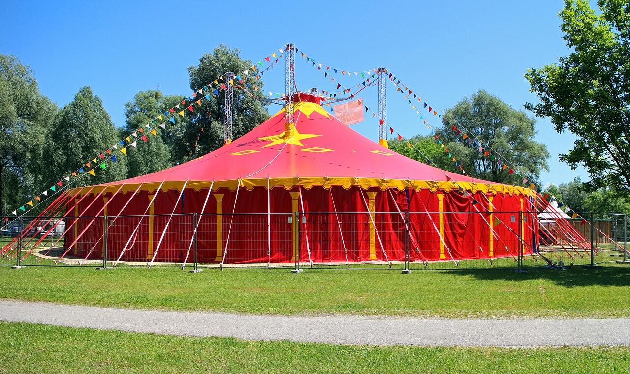 Cirque