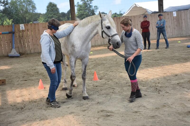 EQUICOACHING EQUIVOLUTION