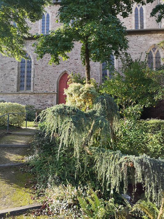 Eglise - Montauban de Bretagne