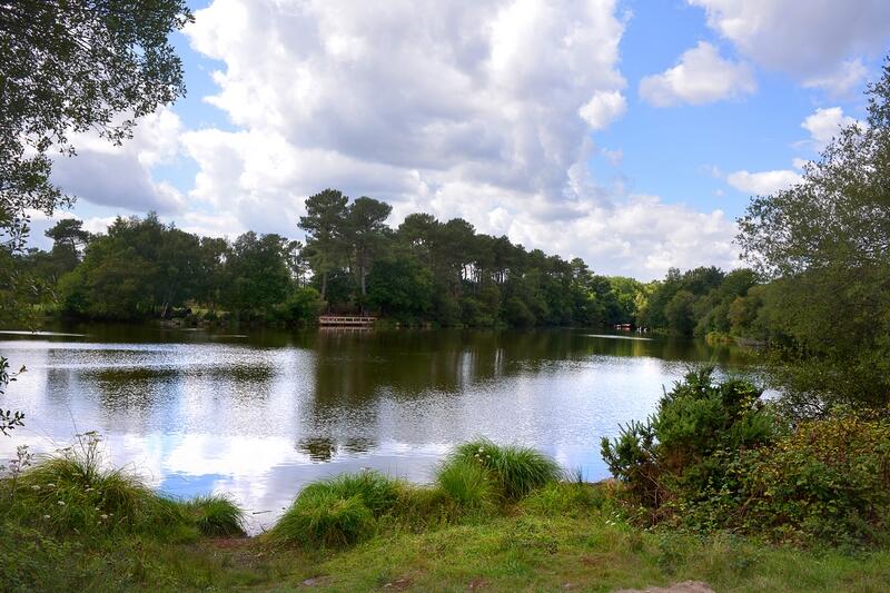 Etang_de_Trégu_Plélan le Grand