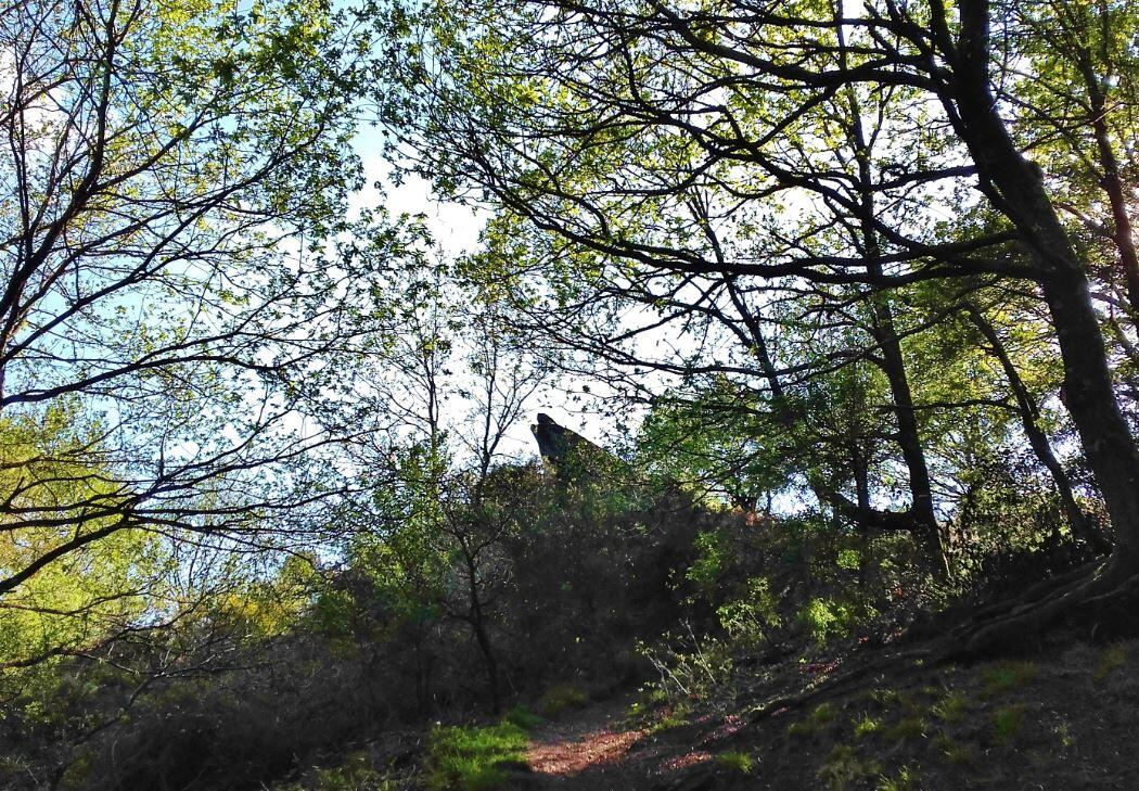 Le Vallon de la chambre au loup