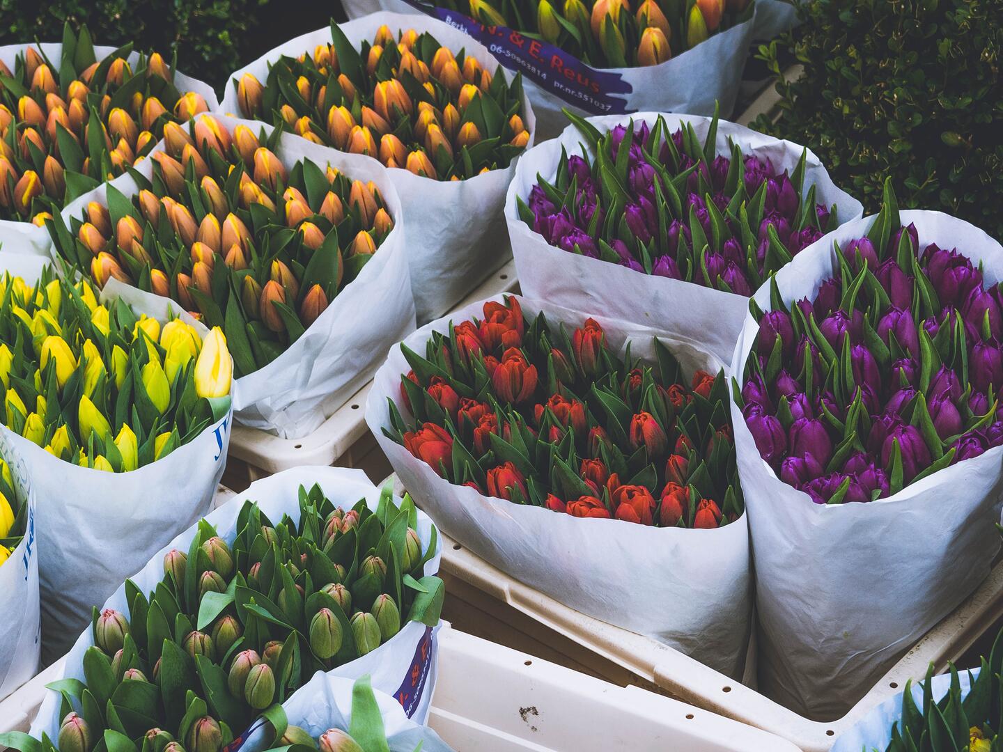 Fleurs©anastasia-zhenina_unsplash