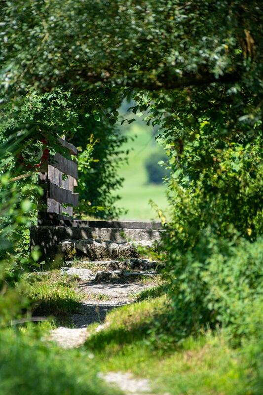 Garden © Peter Wormstetter - Unsplash