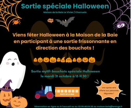 Halloween maison de la baie