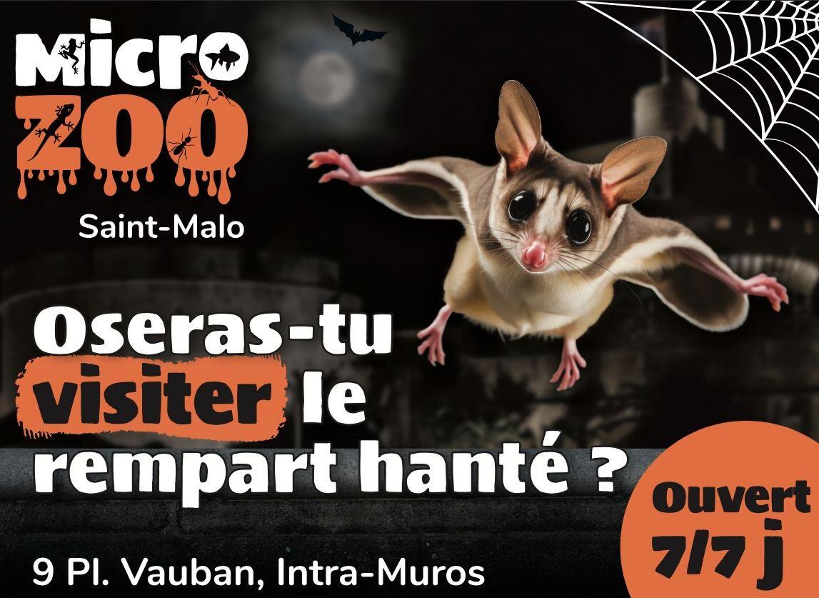 Halloween micro-zoo 31oct2023