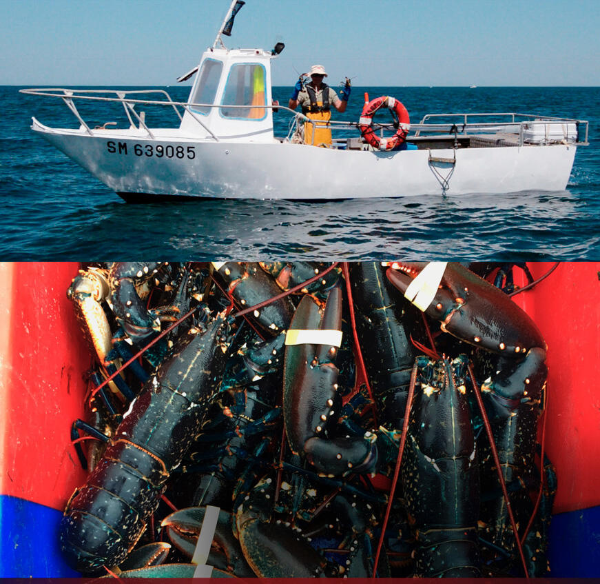 Homard & Co - pêche - Saint-Malo