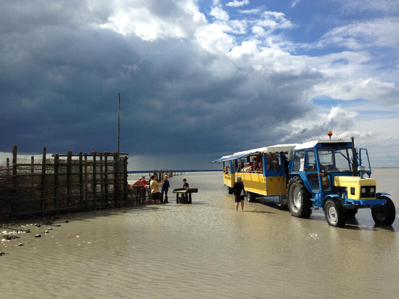 « Arrivée à la pêcherie, relève quotidienne » Cherrueix, Baie du Mont Saint Michel
