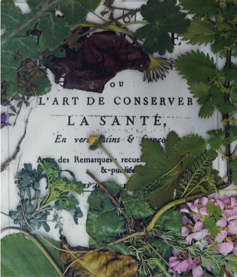 L'art de conserver la santé 6-7mai2022