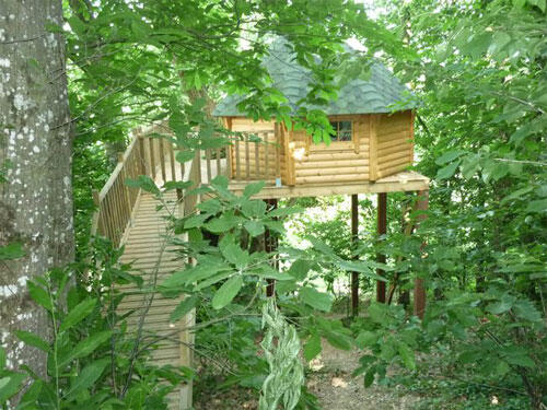 La cabane aux écureuils