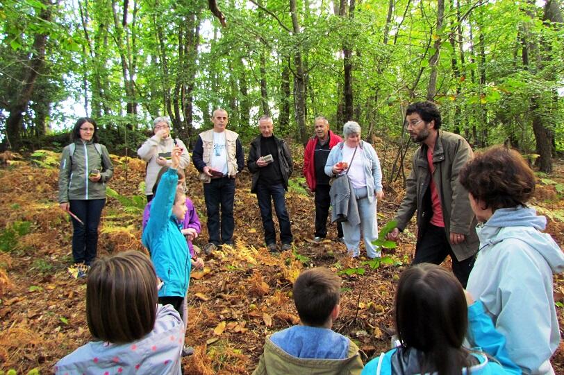 La nature fête l'automne
