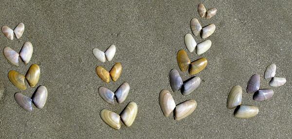 LandArt ©leguerinel