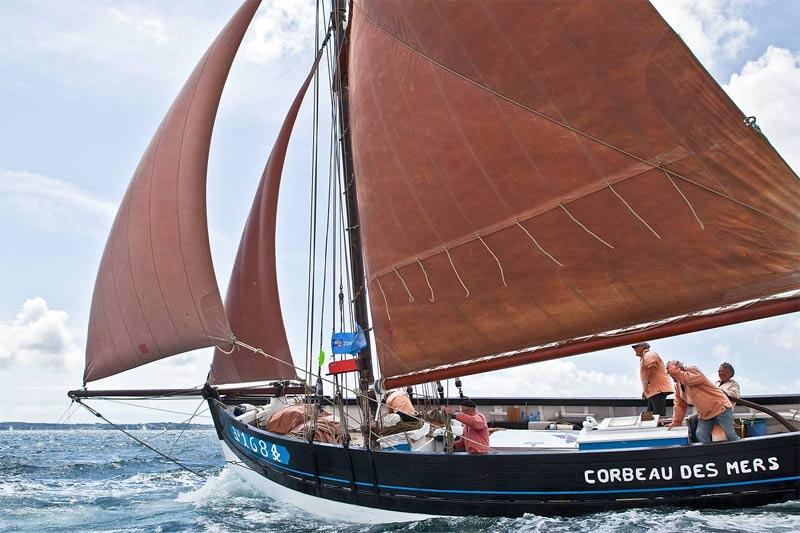 Le Corbeau des Mers