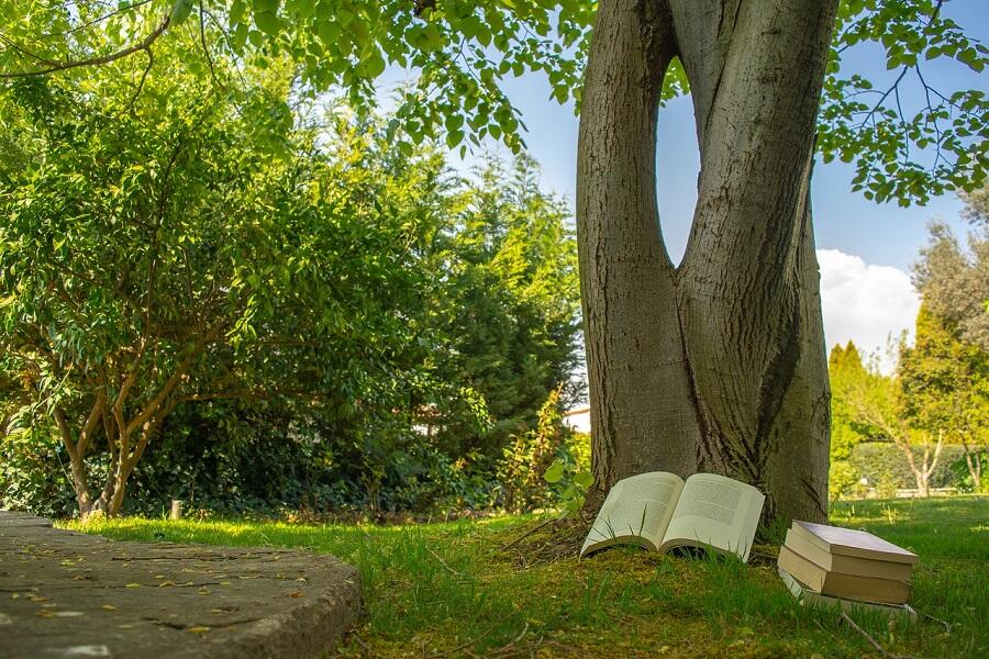 Lire en extérieur