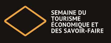 Logo STESF
