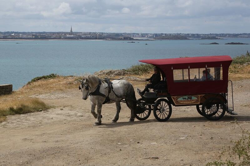 Loisirs-Les Chevaux de la Mer-Saint-Malo