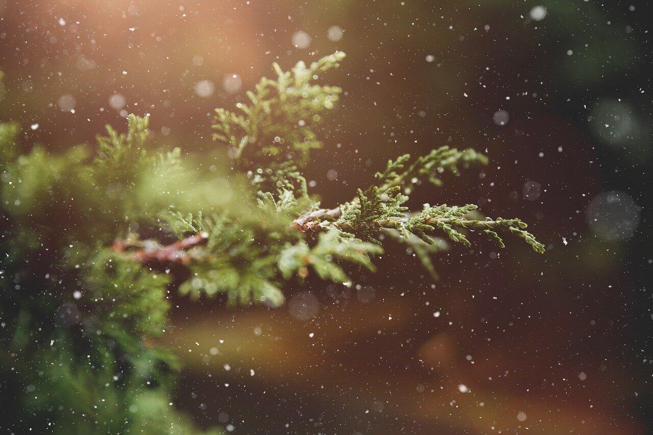 Noël
