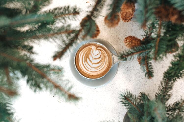 Noël © Tyler Nix - Unsplash