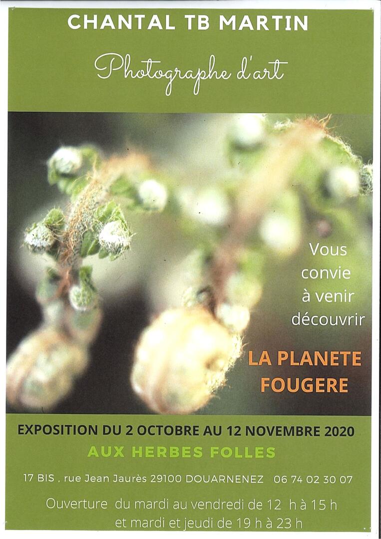 OCT les herbes folles