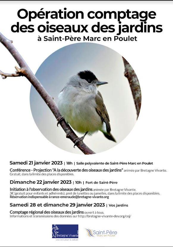 Opération comptage des oiseaux de jardin janv2023
