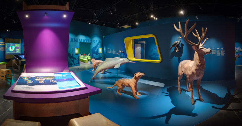 Espace des Sciences