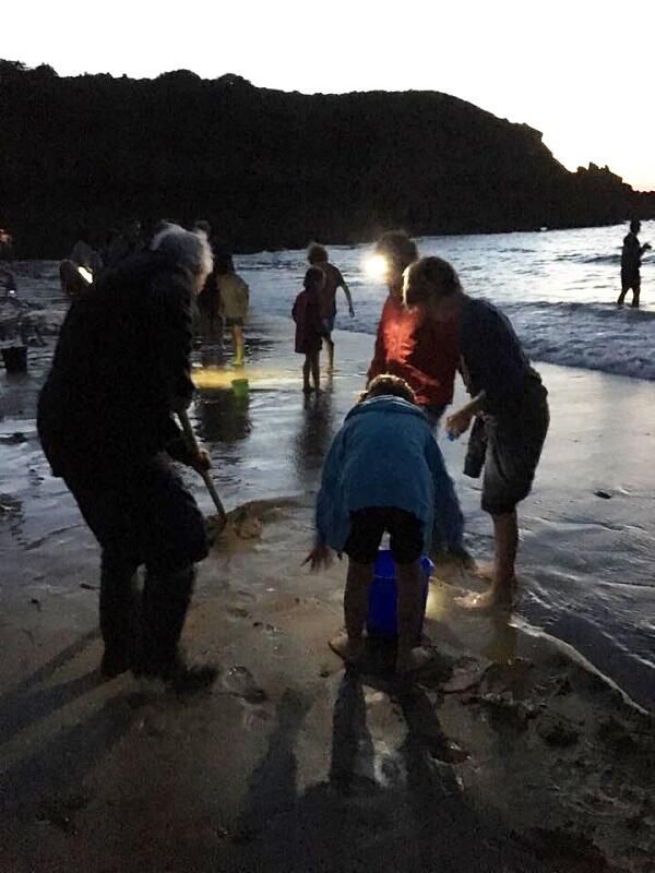Pêche aux lançons © SMBMSM