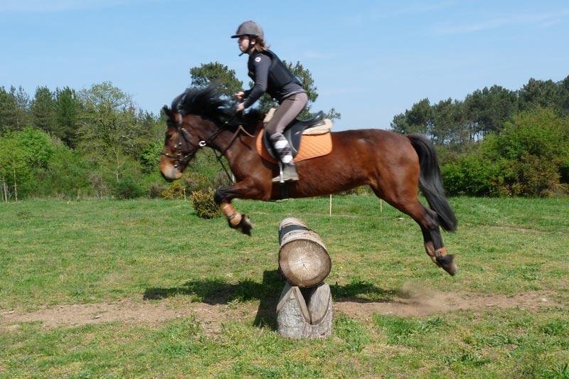 Poney nature
