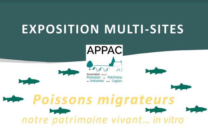 Poissons migrateurs