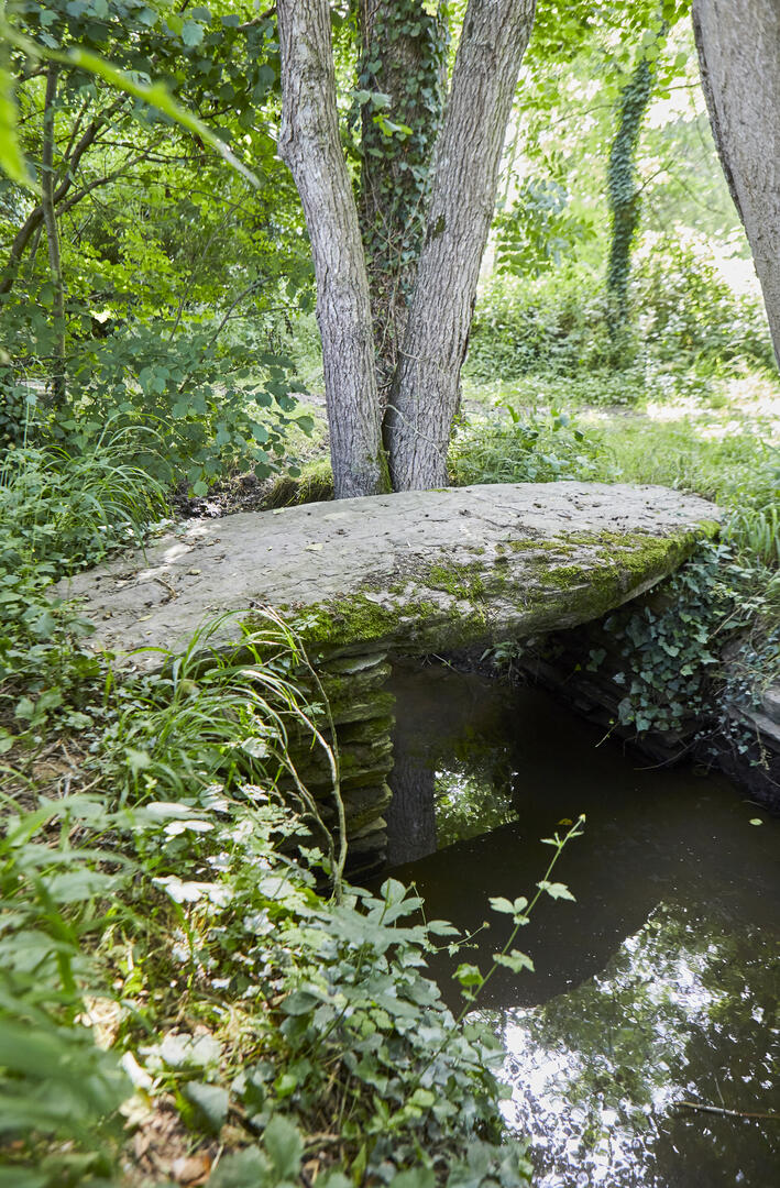 SENTIER DE RANDONNÉE 2019 CHANTELOUP (1)