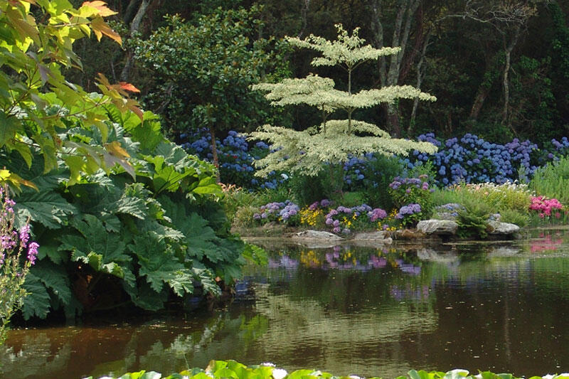 Parc botanique de Cornouaille