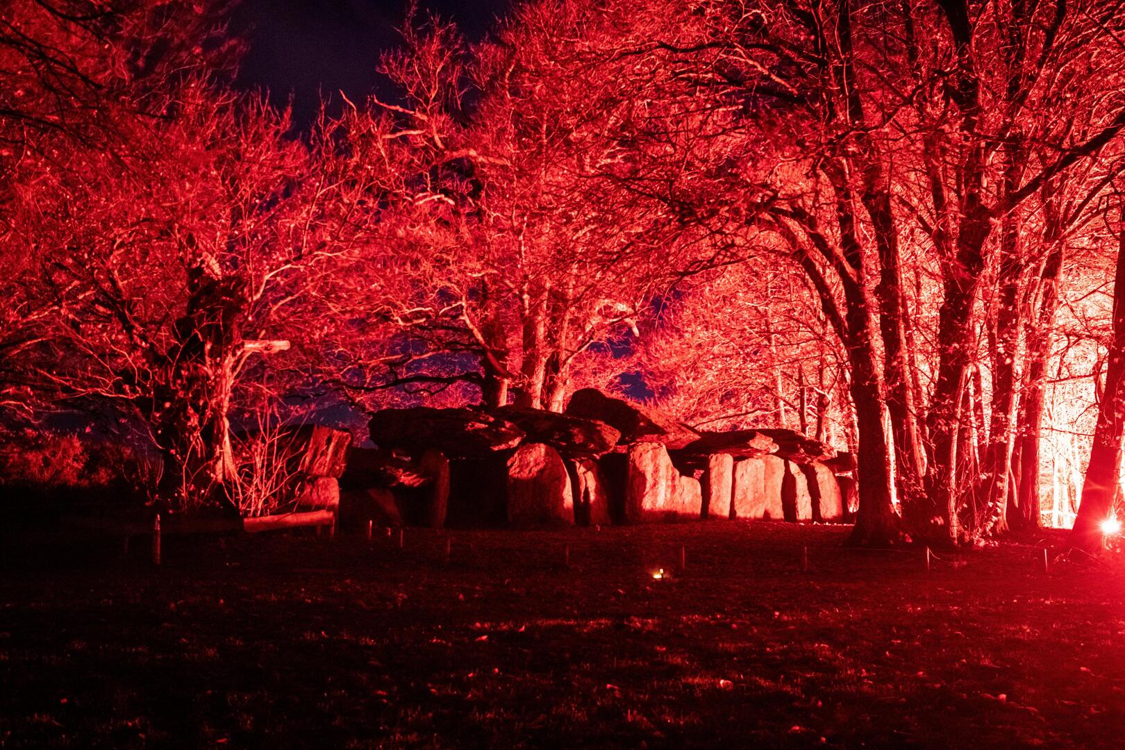 Solstice-2018-RAF---Julien-Mota-13--11-